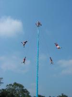 7336 Los Voladores